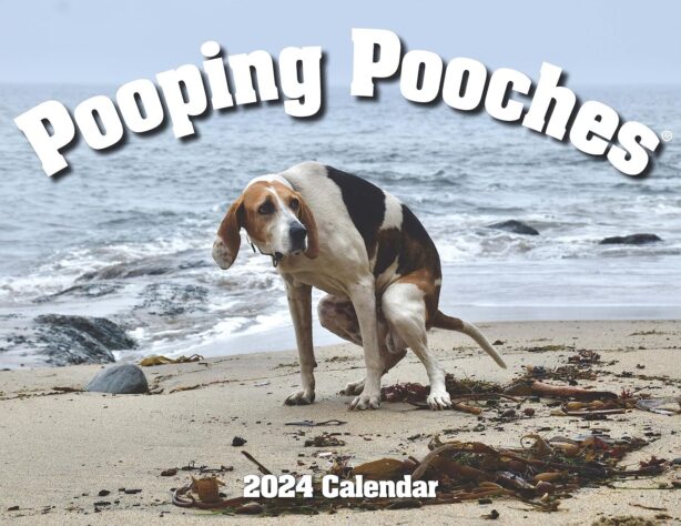Gag Gift 2024 - pooping pooches calendar